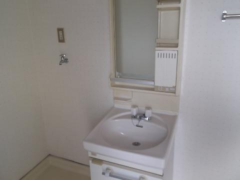 Washroom. Bathroom vanity