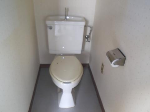 Toilet. WC