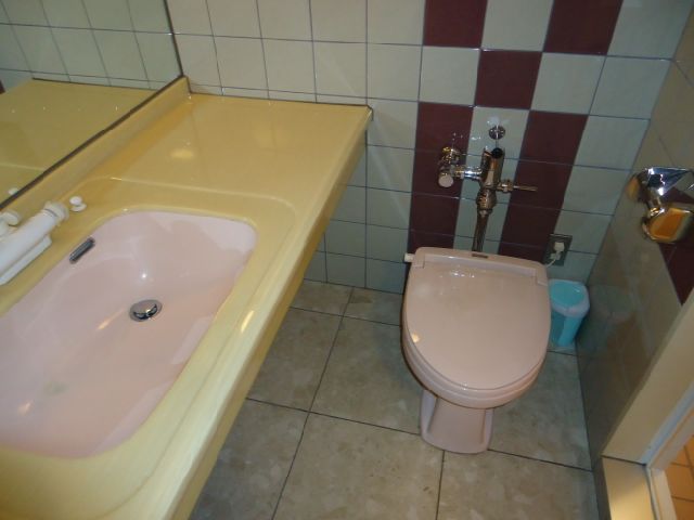Toilet