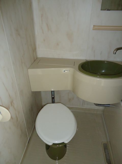 Toilet. Toilet
