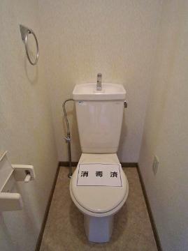 Toilet. WC