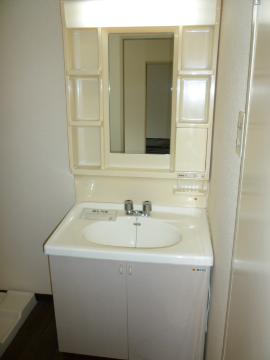 Washroom. Bathroom vanity