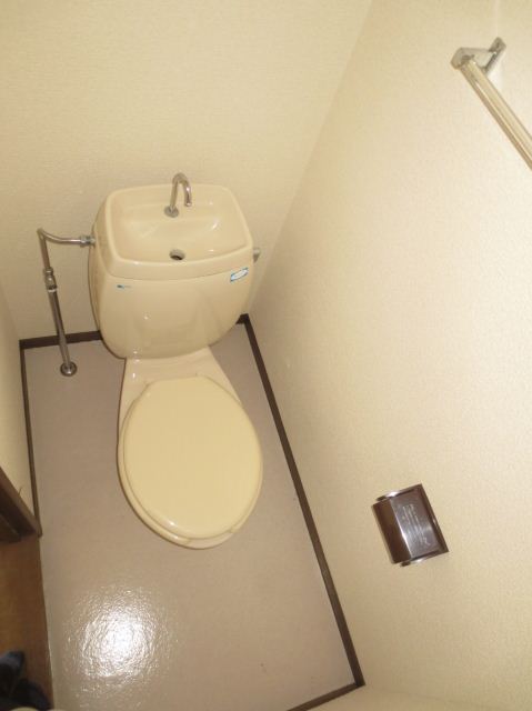 Toilet. Western water
