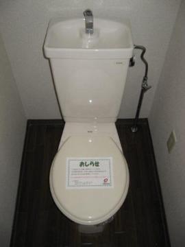 Toilet. WC