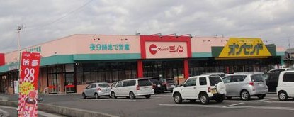 Other. Super three-core agency store (other) up to 1621m