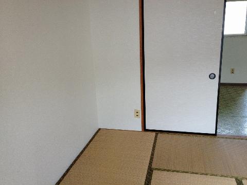 Living and room. Japanese style room