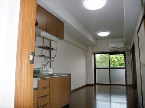Living and room. Living