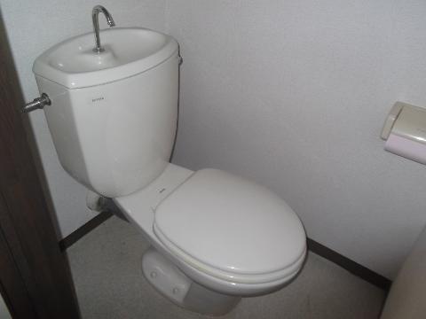 Toilet. WC