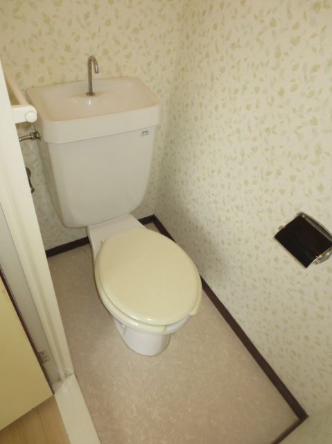 Toilet. Toilet