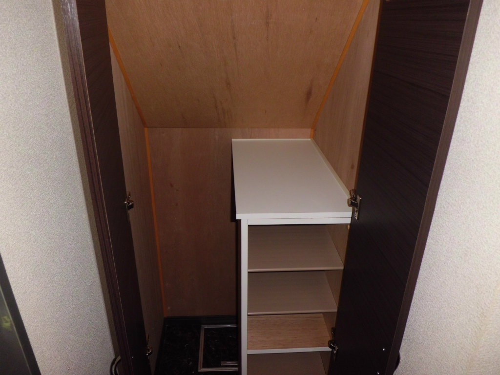 Other. Also the size of entering shoebox golf bag.