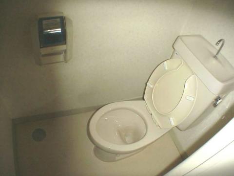 Toilet. WC