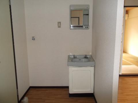 Washroom. Bathroom vanity