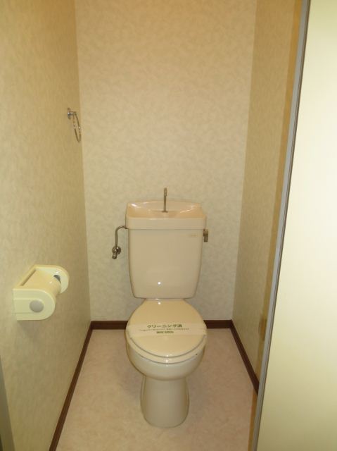 Toilet. Western water
