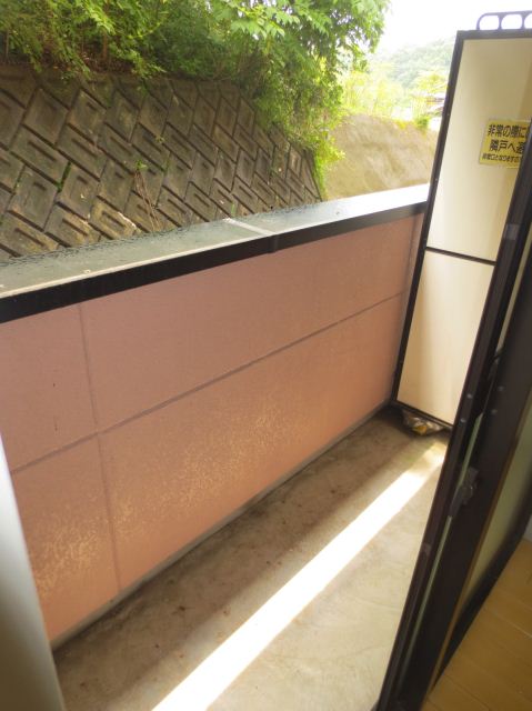 Balcony. Veranda