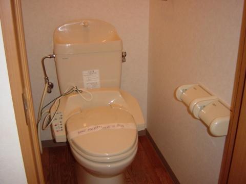 Toilet. Toilet with shower