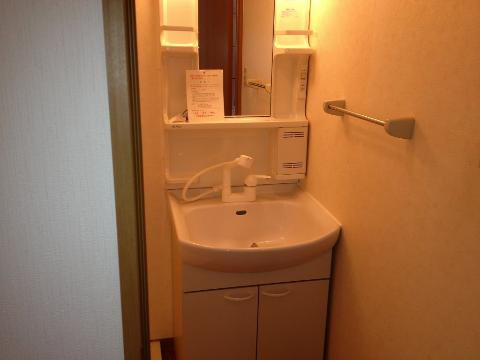 Washroom. Bathroom Vanity