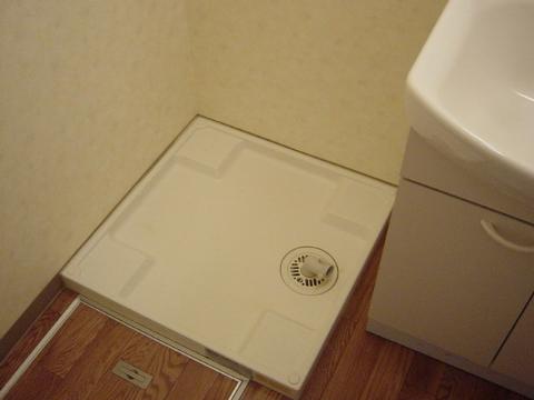 Other room space. Laundry Area
