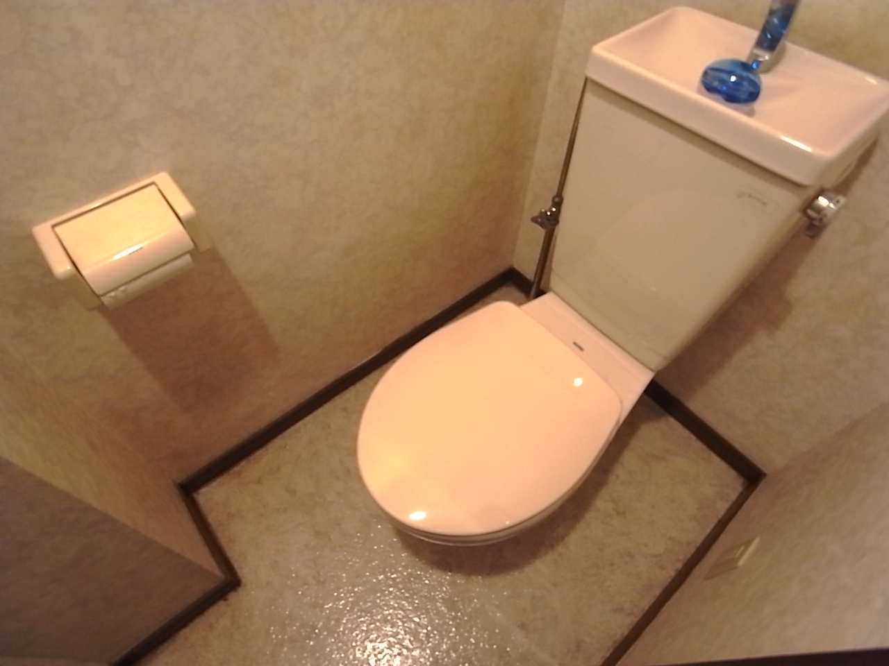 Toilet