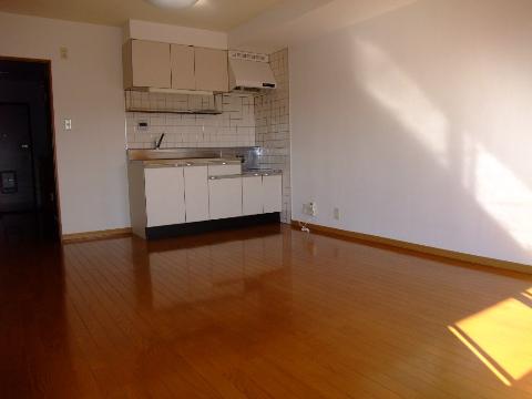 Living and room. Living