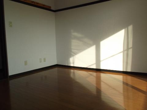 Living and room. Western style room