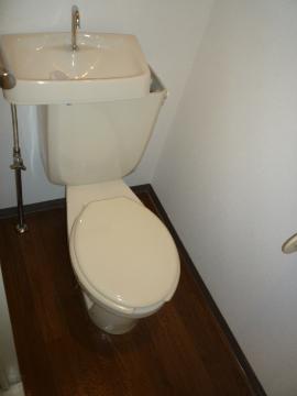 Toilet. WC