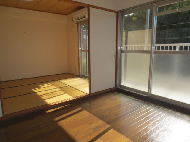 Living and room. Sunny