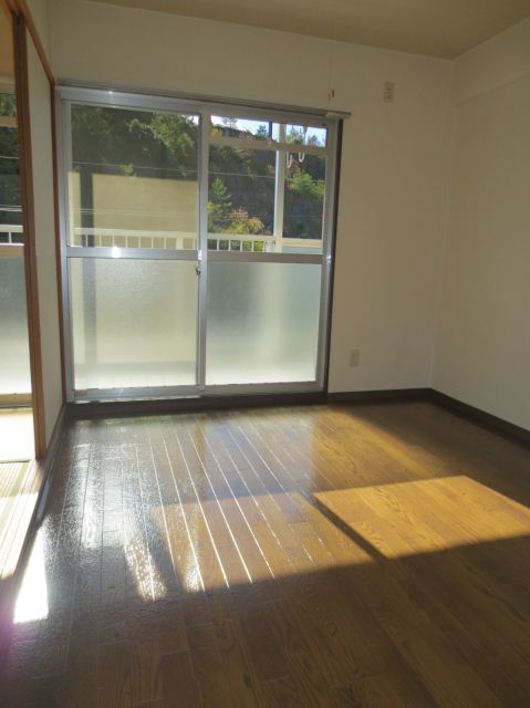 Living and room. Sunny