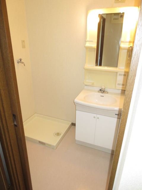 Washroom. There washbasin
