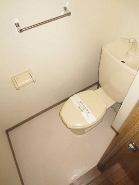 Toilet. Western water