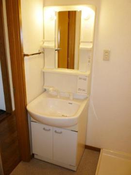 Washroom. Bathroom Vanity