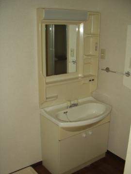 Washroom. Bathroom vanity