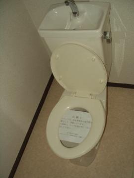 Toilet. WC