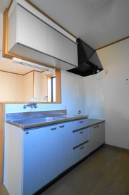 Kitchen. Face-to-face kitchen