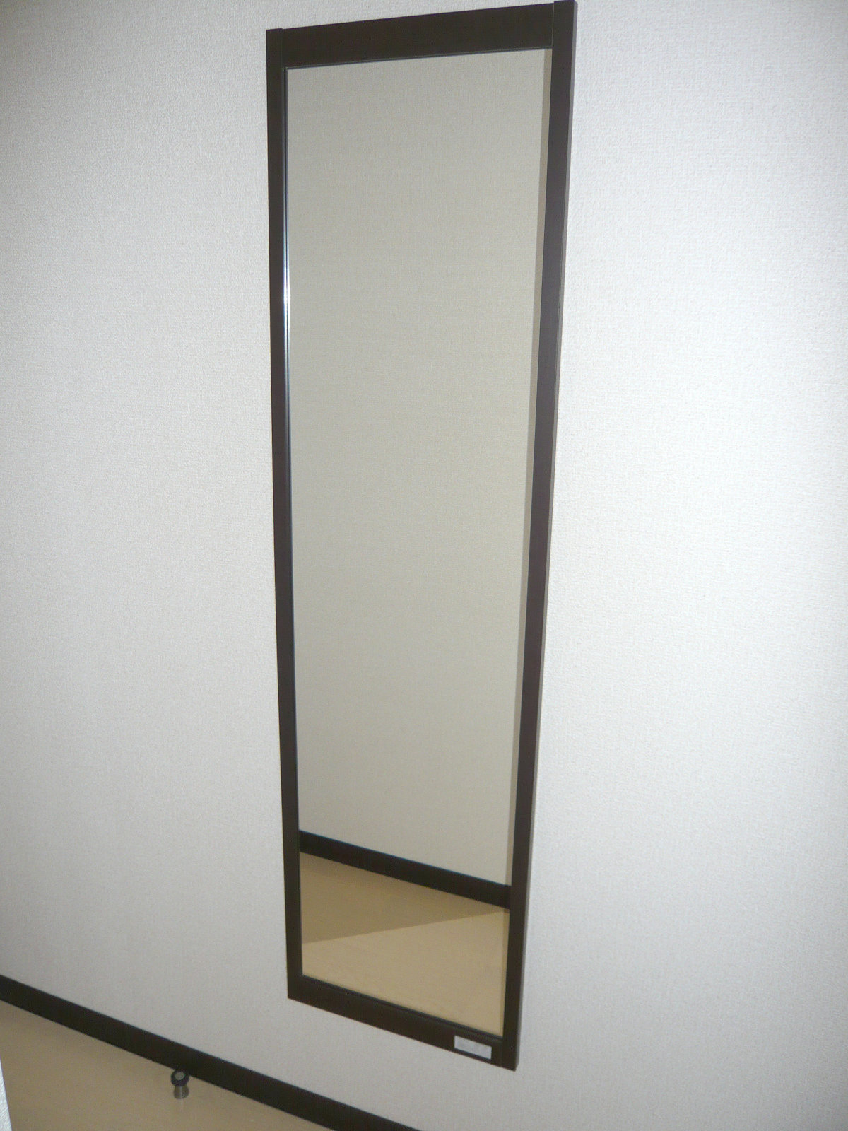 Entrance. Full-length mirror mirror is located properly in the entrance!