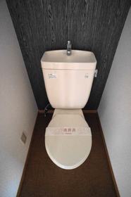 Toilet. Toilet