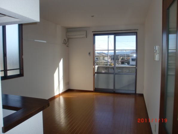 Living and room. Sunny living