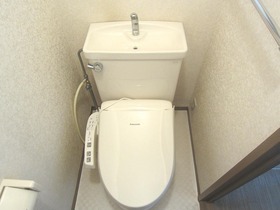 Toilet. With Washlet!