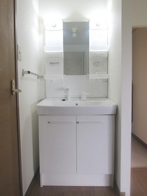 Washroom. Shampoo dresser!