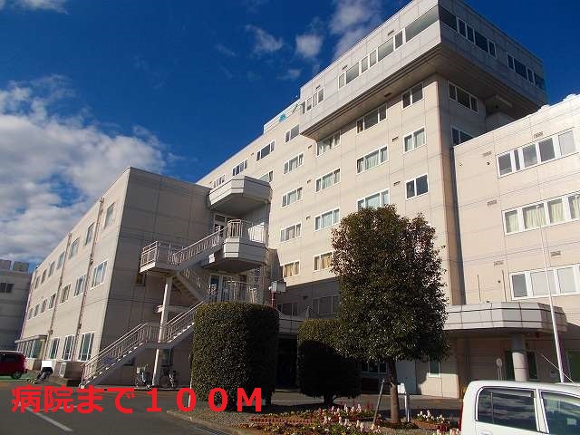 Hospital. Tree hospital of camphor (hospital) up to 100m