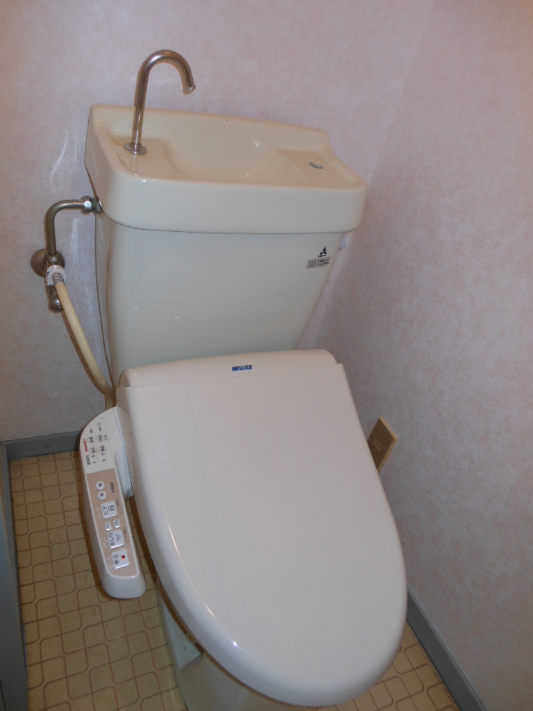 Toilet. With warm water washing toilet seat