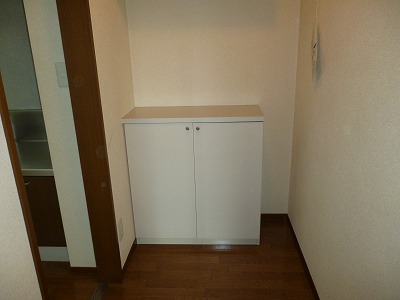 Entrance. Entrance storage