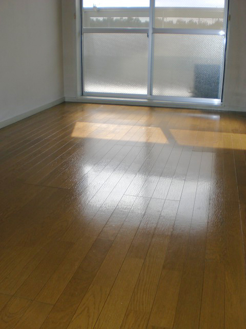 Living and room. South is facing!