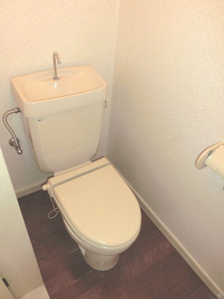 Toilet. Warm water washing toilet seat