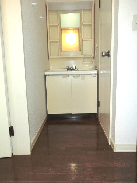 Washroom. Bathroom vanity