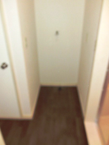 Washroom. Washing machine in the room