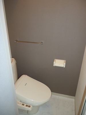 Toilet. With washlet