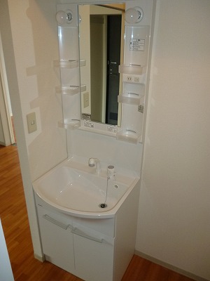 Washroom. Shampoo dresser