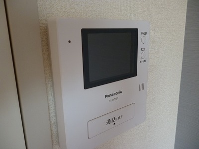 Other. Color TV door phone