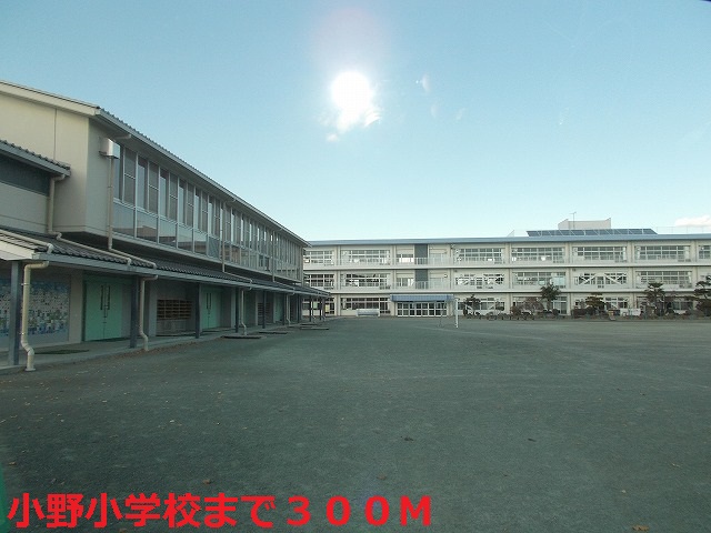 Primary school. Ono 300m up to elementary school (elementary school)