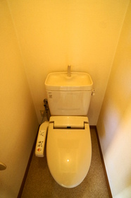 Toilet. It comes with a bidet